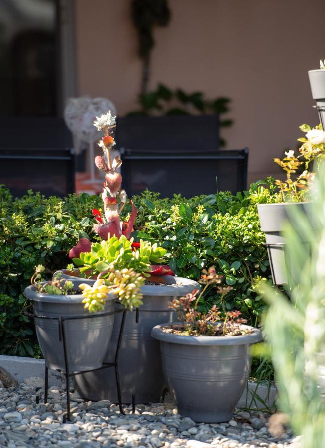 House Toula Elegant Apartment Sarti Exterior photo